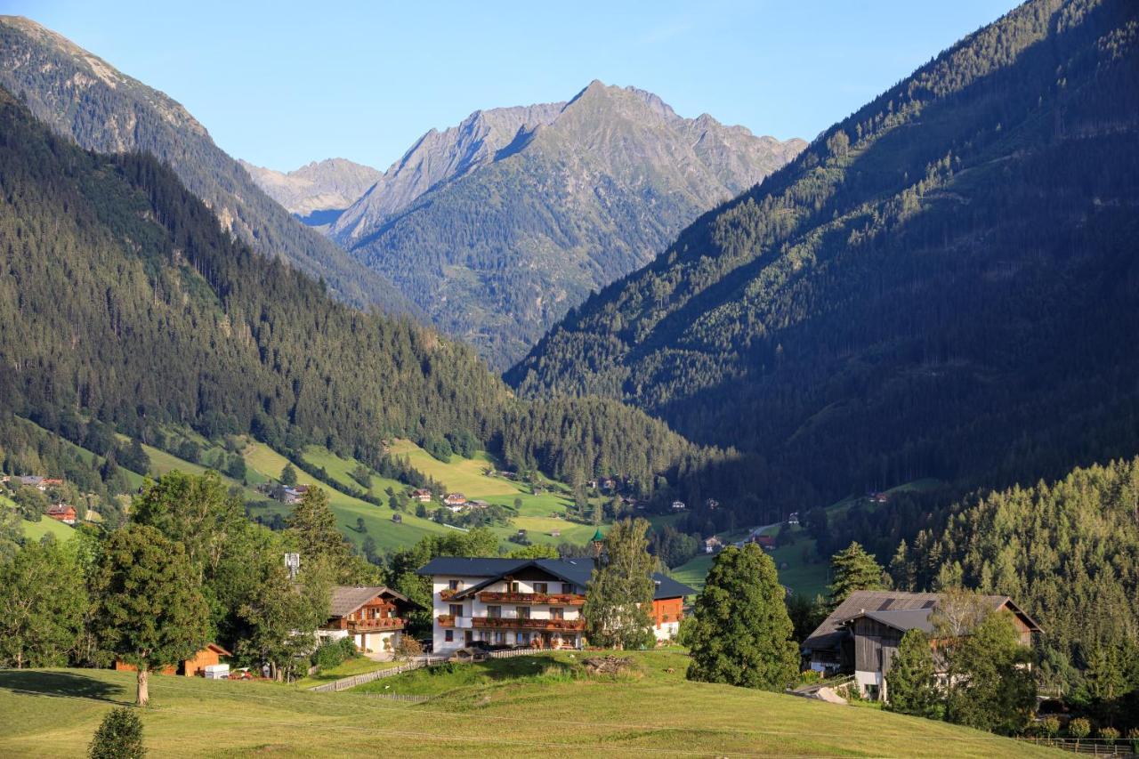 Pension Stammerhof 斯拉德明 外观 照片