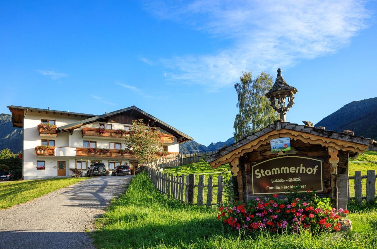Pension Stammerhof 斯拉德明 外观 照片