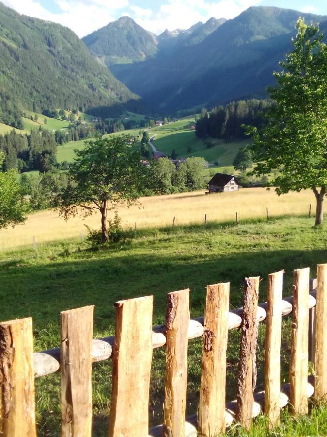 Pension Stammerhof 斯拉德明 外观 照片