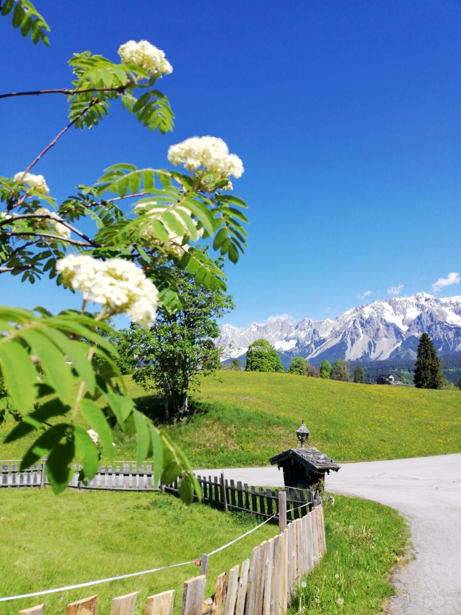 Pension Stammerhof 斯拉德明 外观 照片