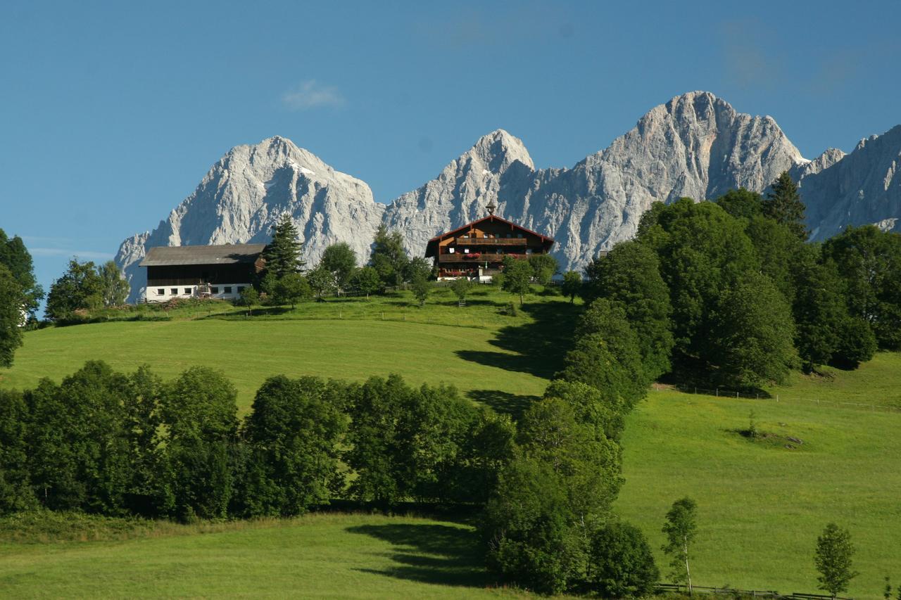 Pension Stammerhof 斯拉德明 外观 照片